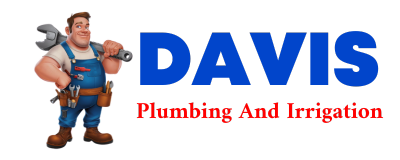 Trusted plumber in LOSTANT